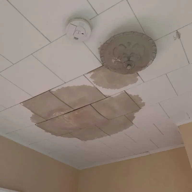 Ceiling Water Damage Repair in Hot Springs County, WY