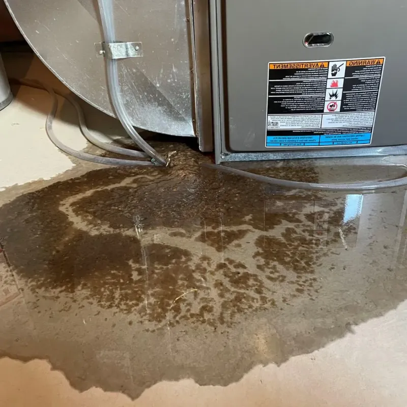 Pipe Burst and Leak Restoration in Hot Springs County, WY