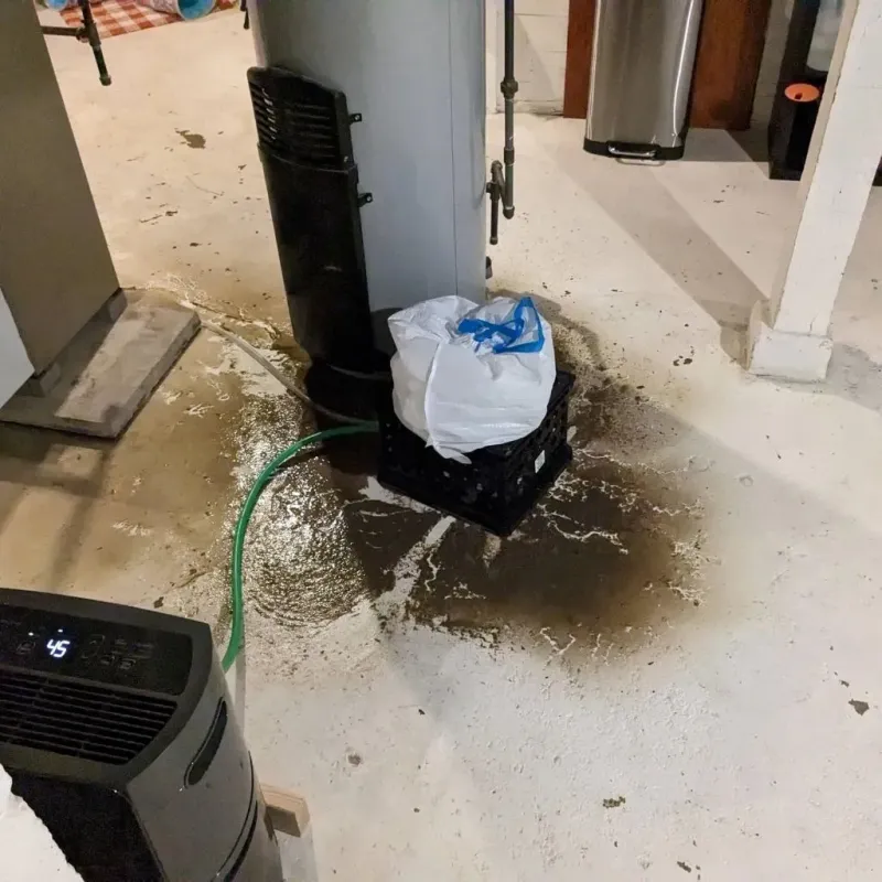 Sewage Backup Cleanup Service in Hot Springs County, WY